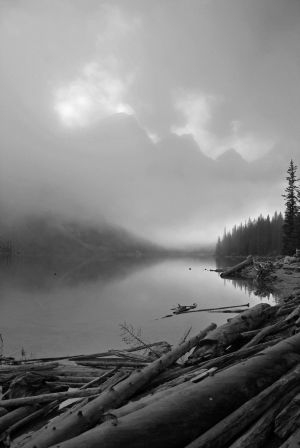 Moraine Fog - Banff